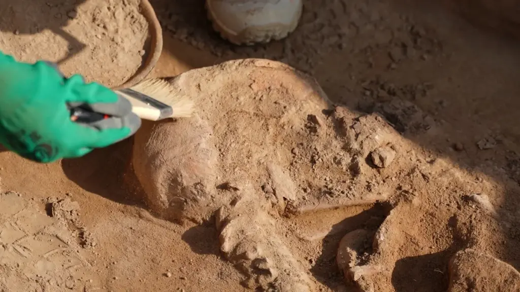 500.000 Jahre alter Hammer aus Elefantenknochen – Sensationsfund erschüttert Europas Archäologie
